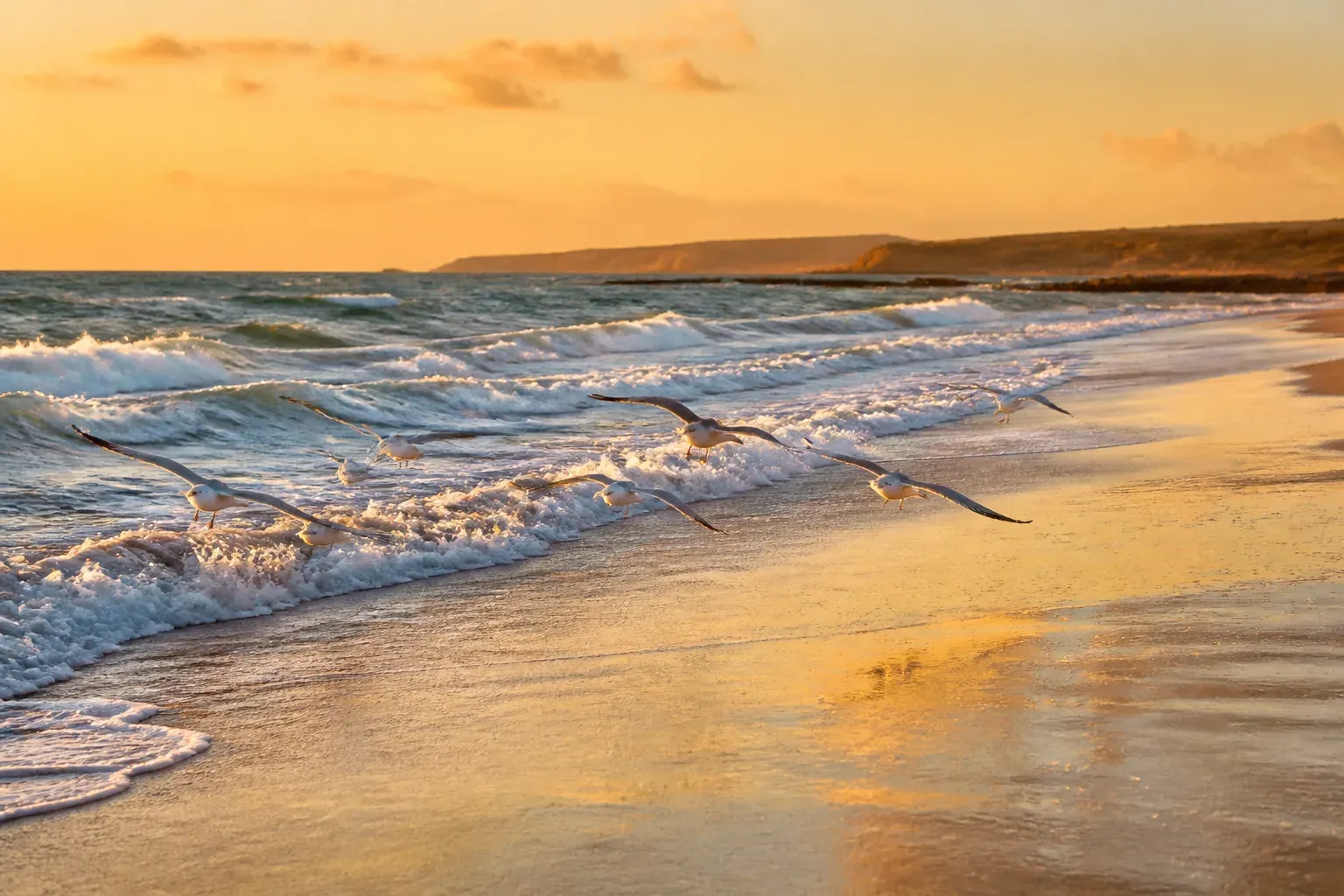 Waves rolling onto a sandy beach at golden hour with gulls flying low
