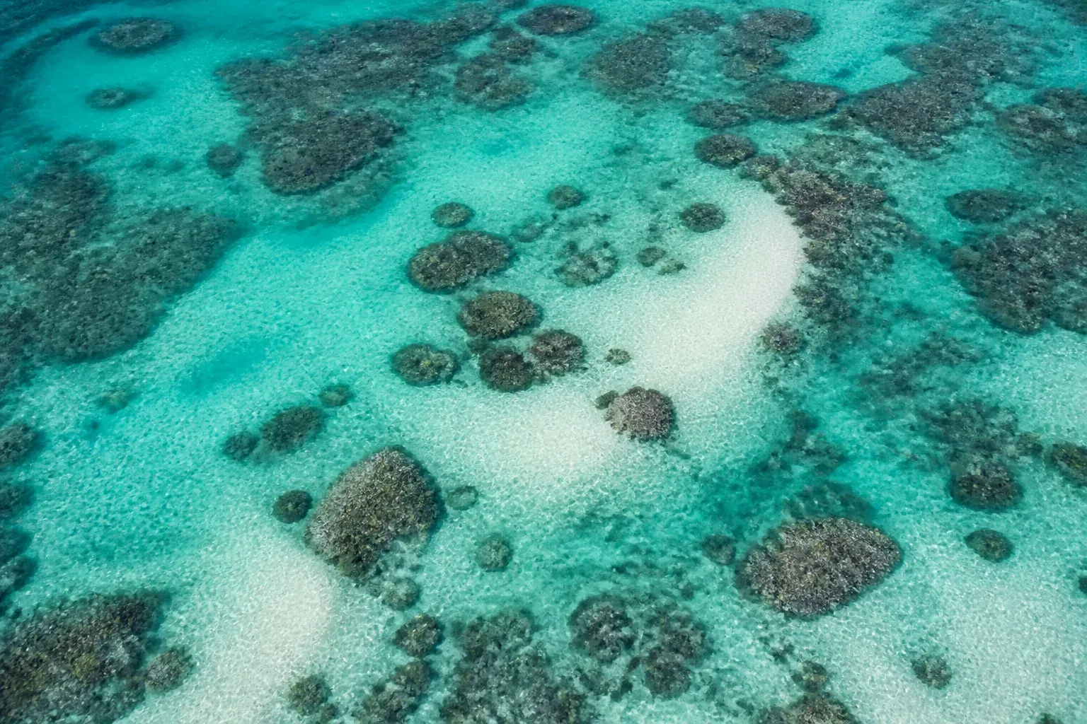Aerial view of a turquoise lagoon with dark coral heads and patches of pale sand